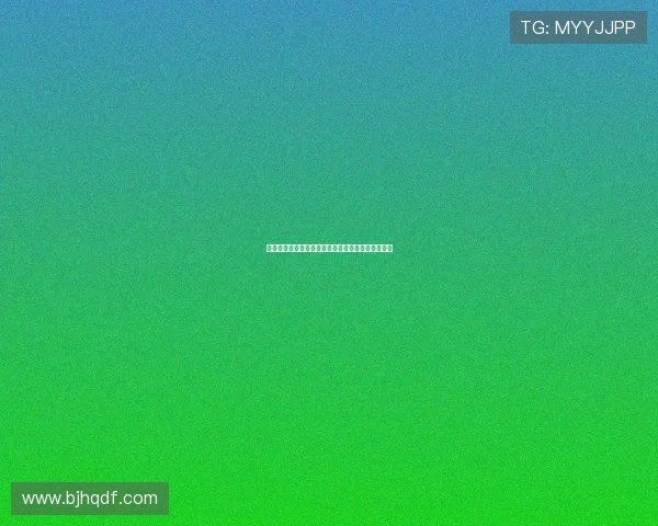 《沙海》演员集结，解密神秘三角洲的荧幕英雄群像